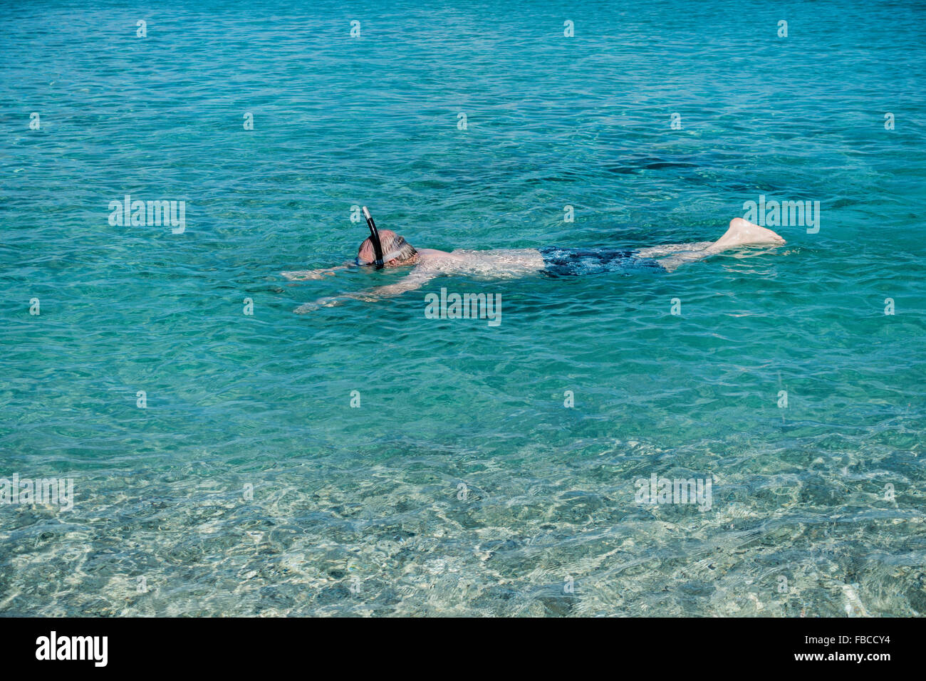 A 50 year old Caucasian man snorkles off St. Croix, U.S. Virgin Islands. Stock Photo