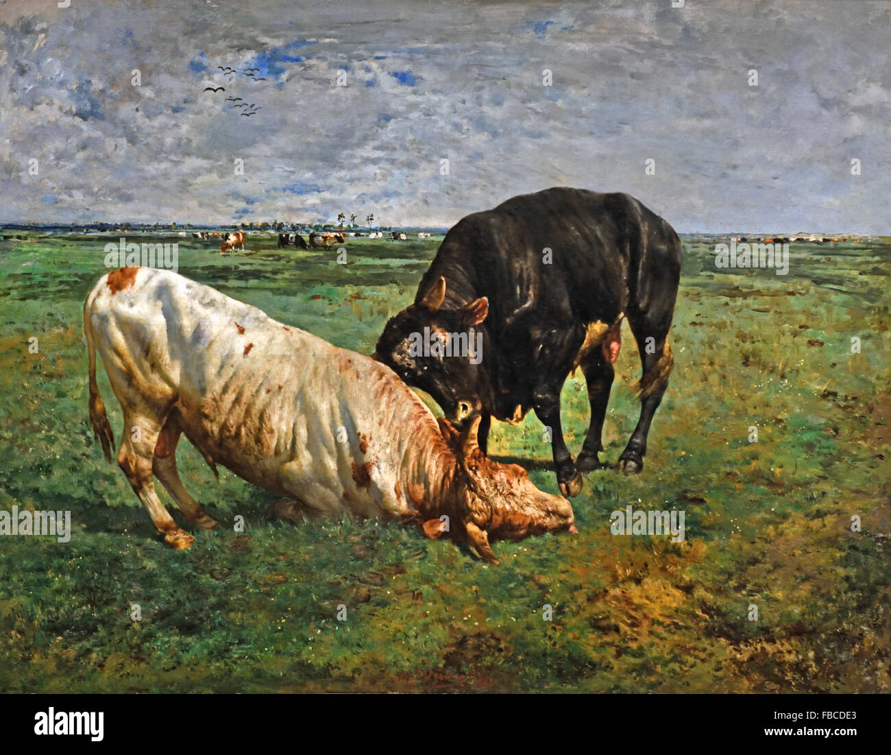 Two Young Bulls fighting 1883 Alfred Verwee 1838-1895 Flemish Belgian Belgium Stock Photo