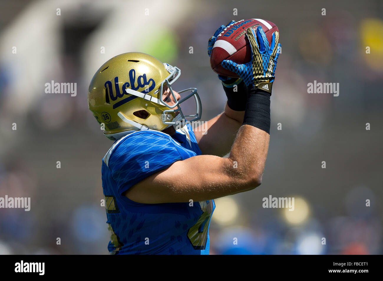 Wide receiver Colby Cyburt #85 of the UCLA Bruins catches a pass before the game against the Virginia Cavaliers at the Rose Stock Photo