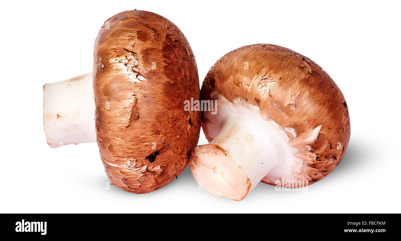 Two fresh brown mushroom beside rotated isolated on white background Stock Photo