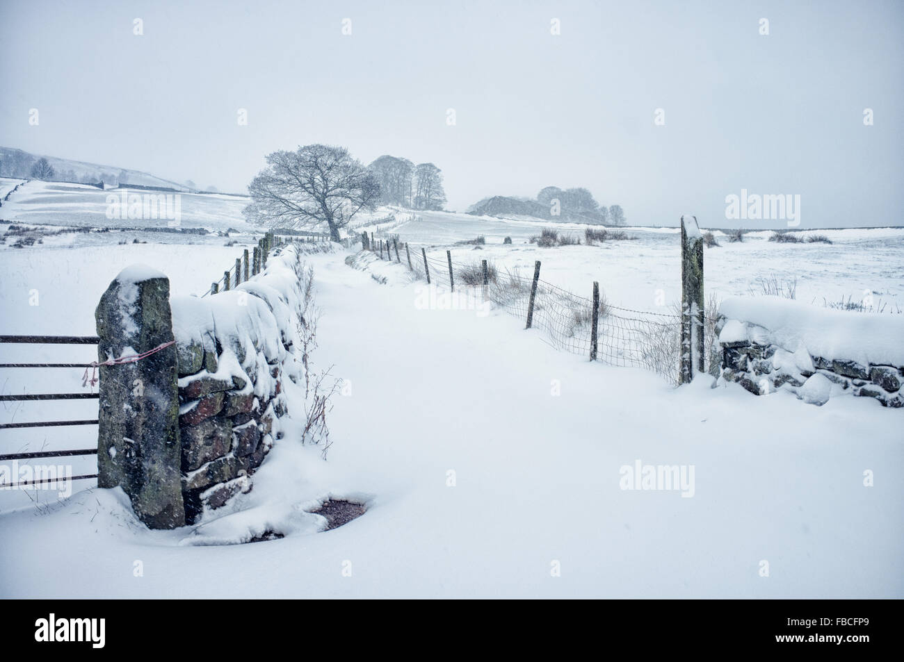 View of untrodden snow up Spencer Lane towards Old Chamber, near Hebden Bridge in West Yorkshire England. Stock Photo