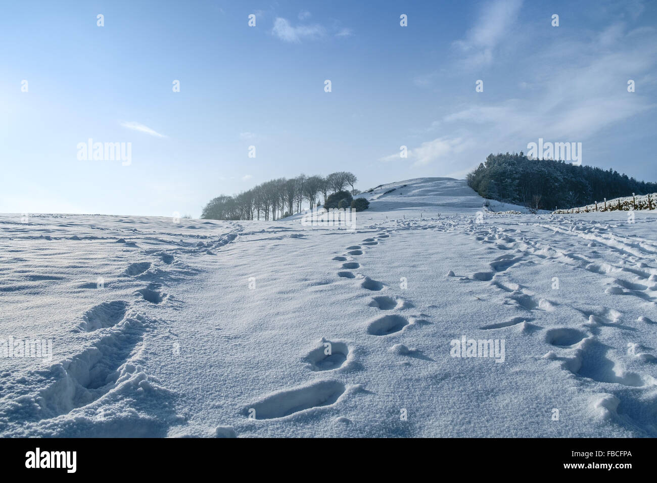 Footprints in deep snow on a hillside above Mytholmroyd, a village in West Yorkshire, England. Stock Photo