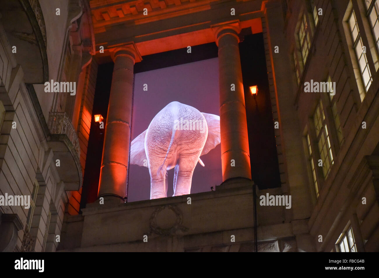 Piccadilly, London, UK. 14th January 2016. Lumiere Festival London: Eléphantastic! by Topla-design © Catherine Garret Credit:  Matthew Chattle/Alamy Live News Stock Photo