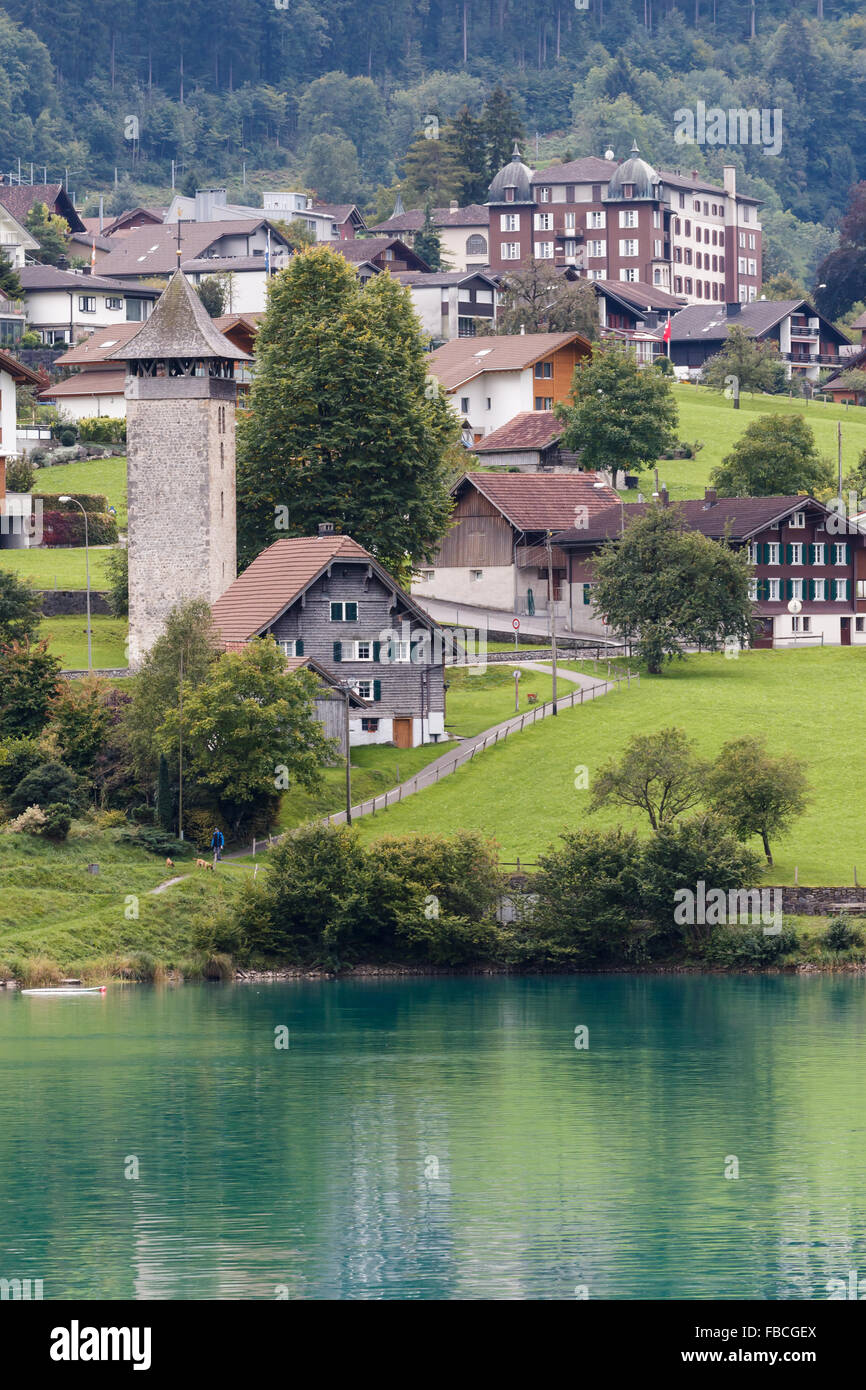 Man walking his dogs by the Lungerersee Obwalden Switzerland Stock Photo