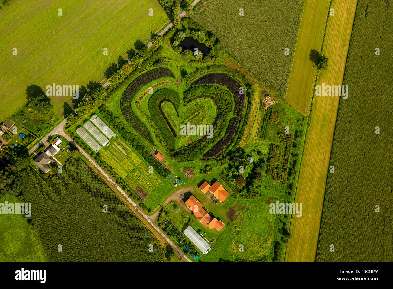 Aerial, Horticulture in Waltrop, heart shape, heart-shaped beds, heart, horticultural farm,, Waltrop, Ruhr area, Stock Photo