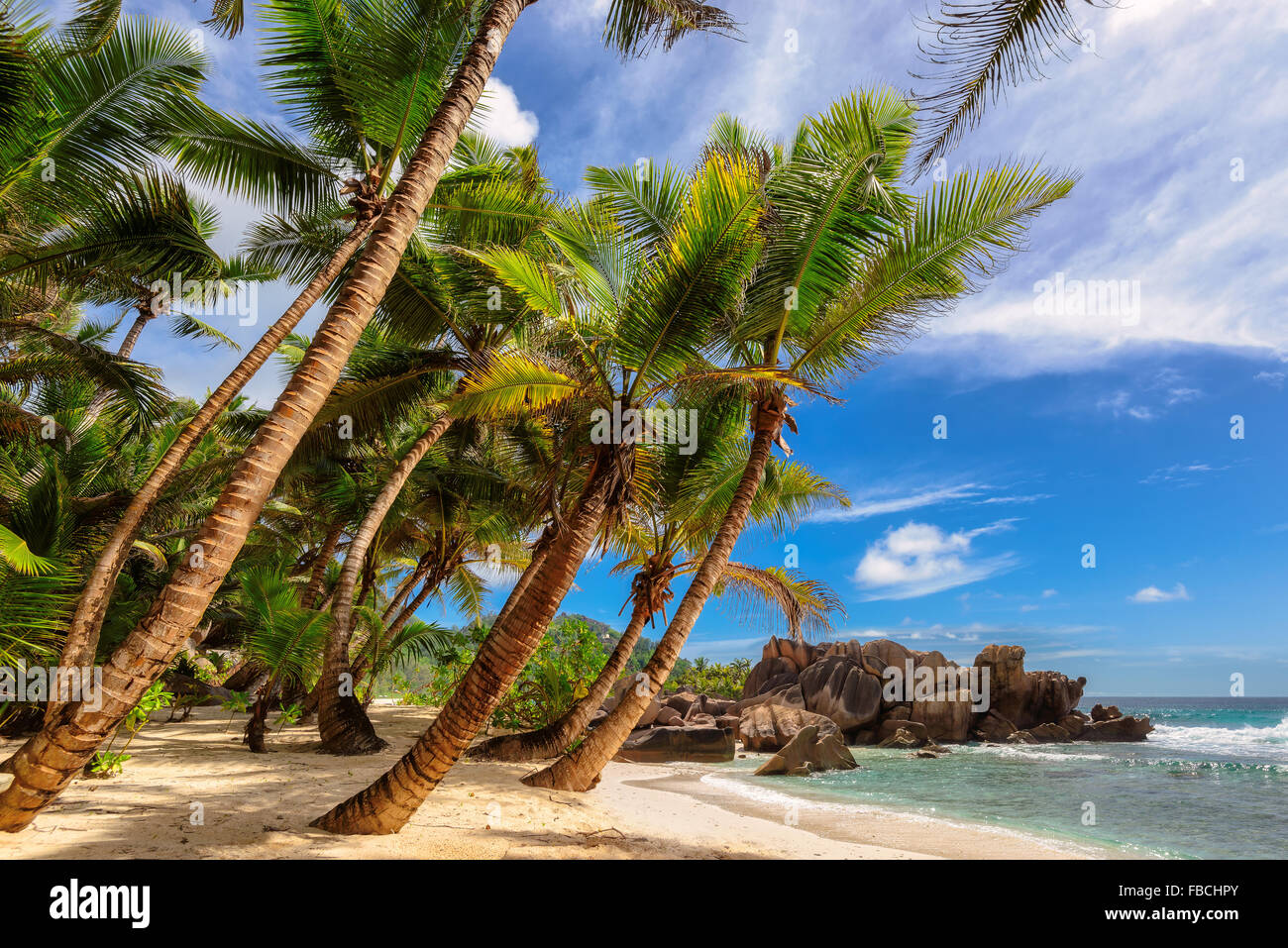Beautiful beach with palm tree and granite rocks at Seychelles Stock Photo