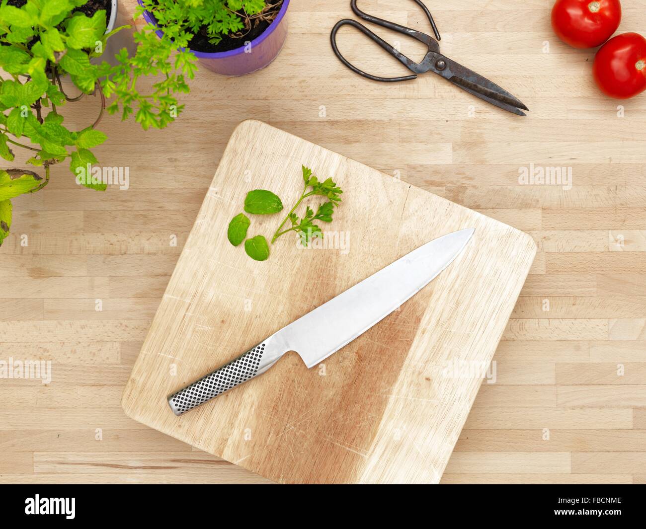 A studio photo of various potted garden herbs on a kitchen bench Stock
