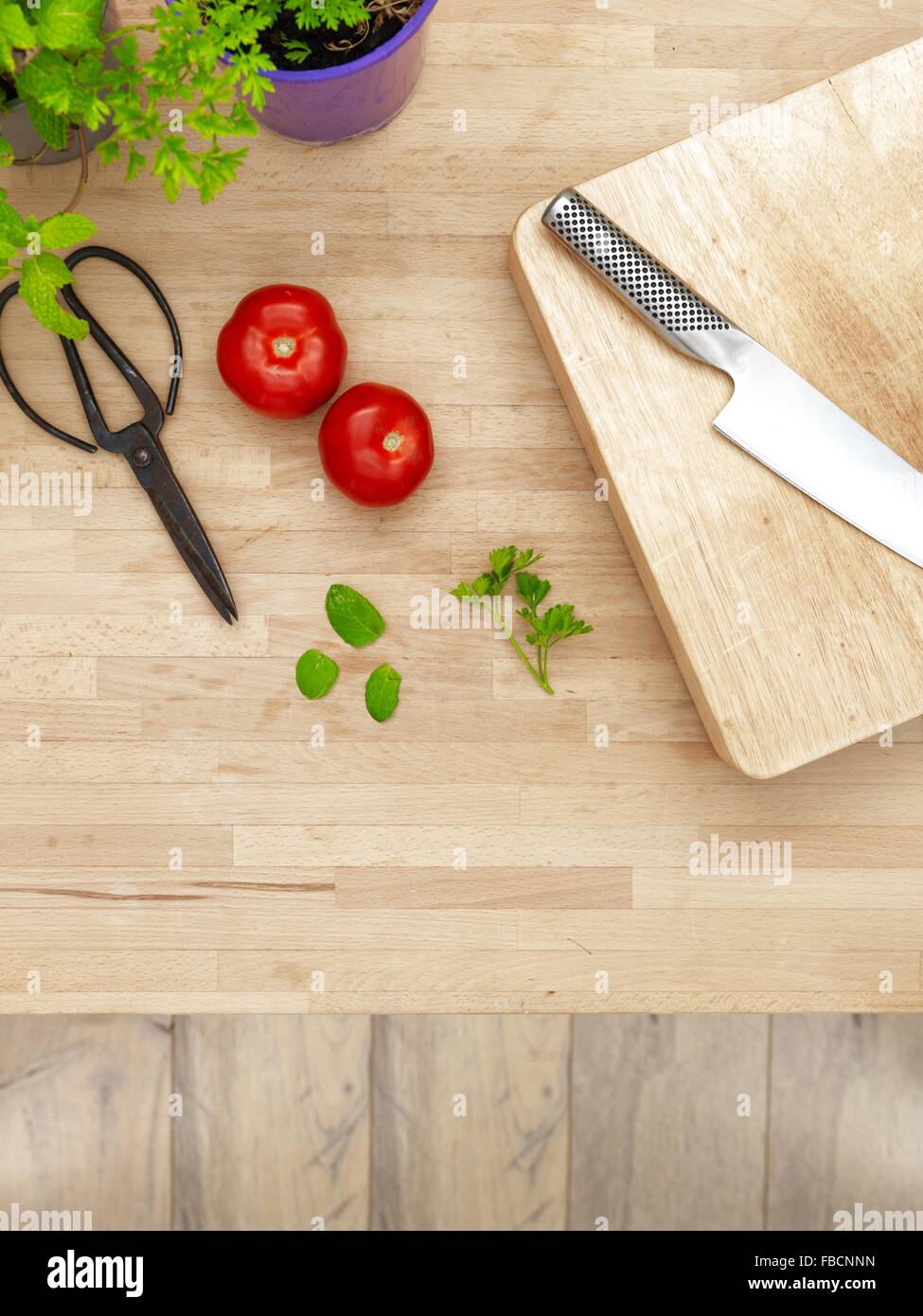 A studio photo of various potted garden herbs on a kitchen bench Stock