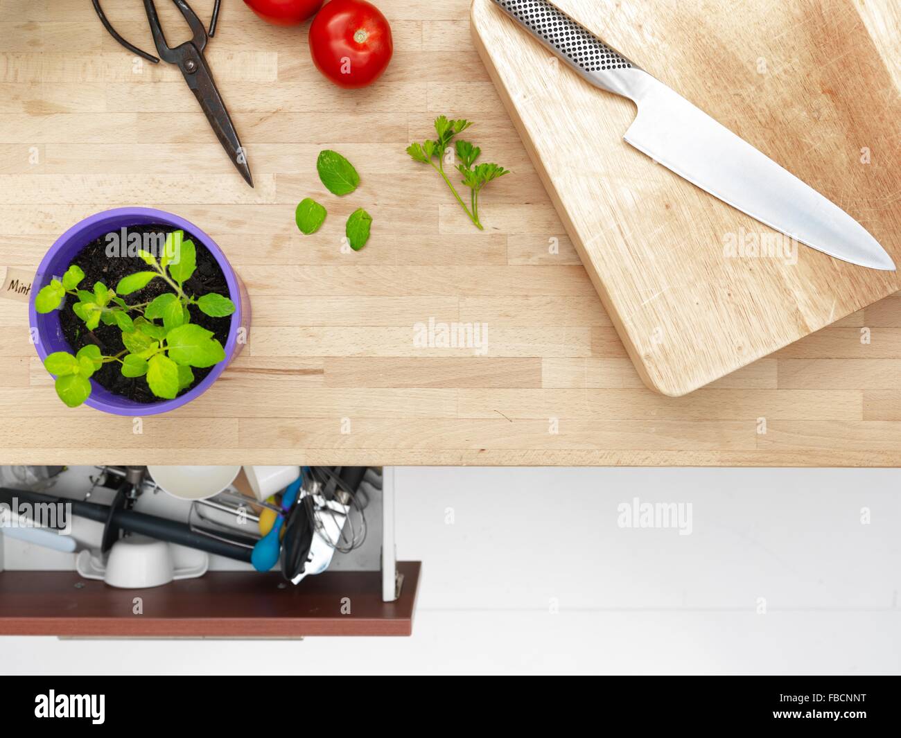 A studio photo of various potted garden herbs on a kitchen bench Stock