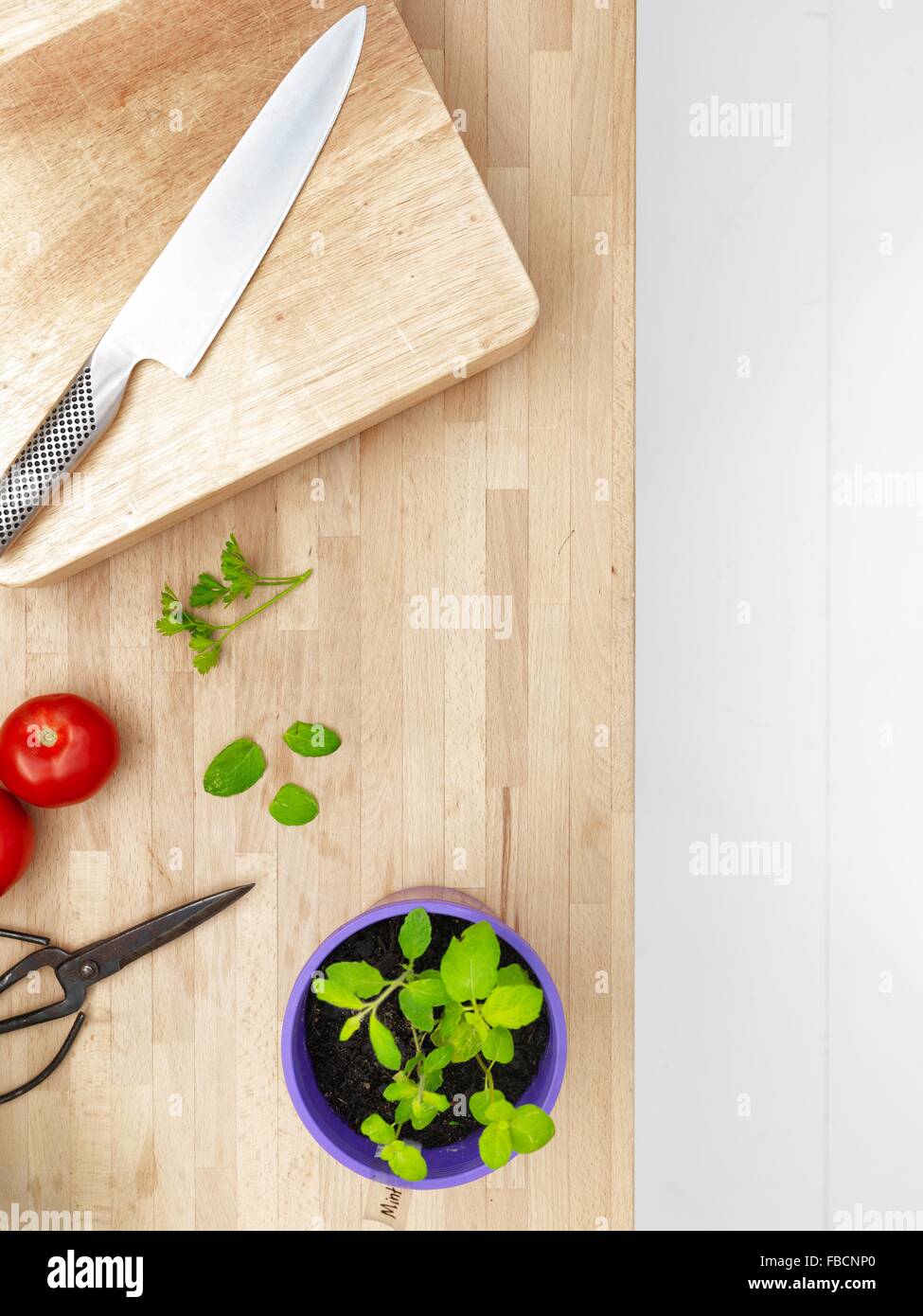 A studio photo of various potted garden herbs on a kitchen bench Stock