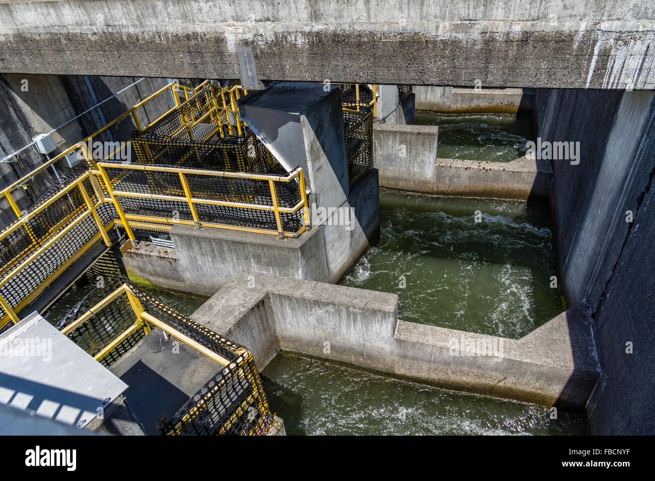 Concrete passages and diverters of the fish ladder at Bonneville Dam
