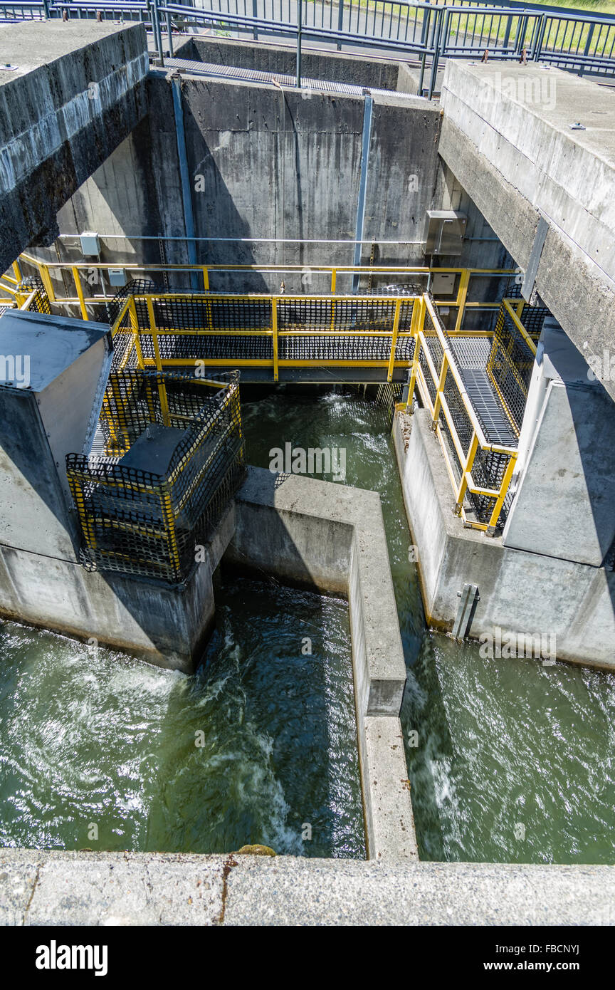 Concrete passages and diverters of the fish ladder at Bonneville Dam