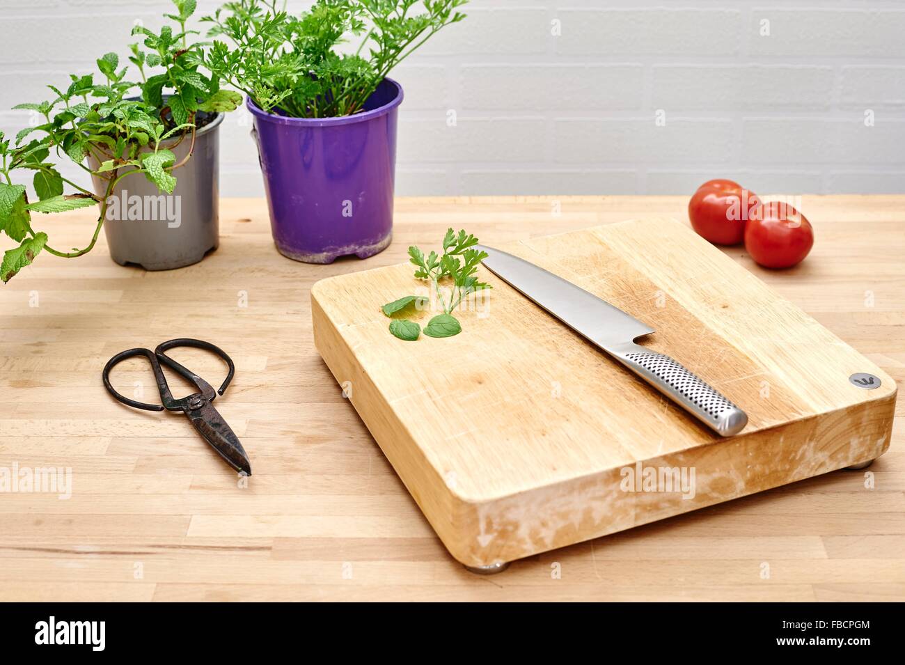 A studio photo of various potted garden herbs on a kitchen bench Stock