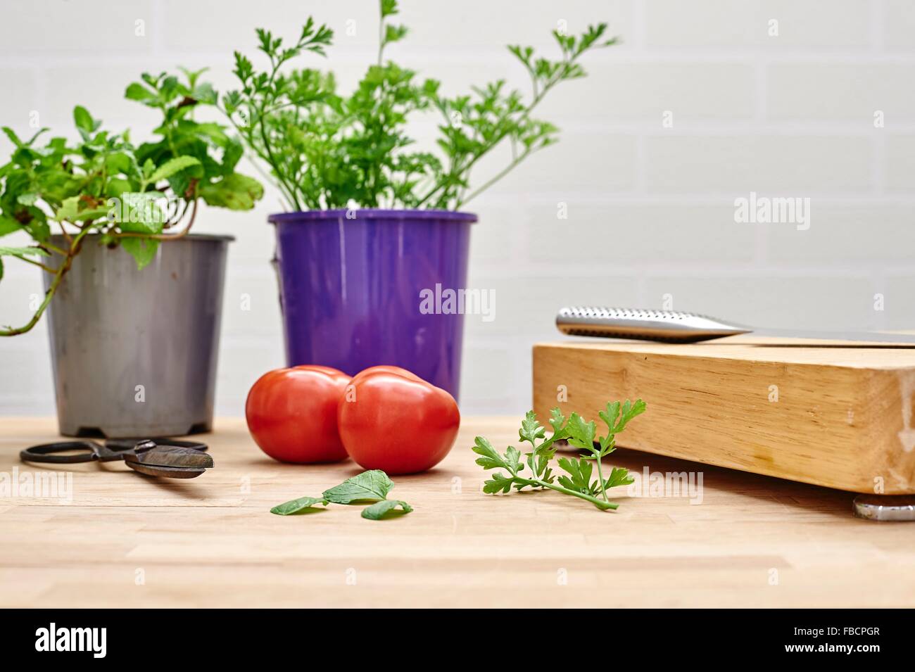A studio photo of various potted garden herbs on a kitchen bench Stock