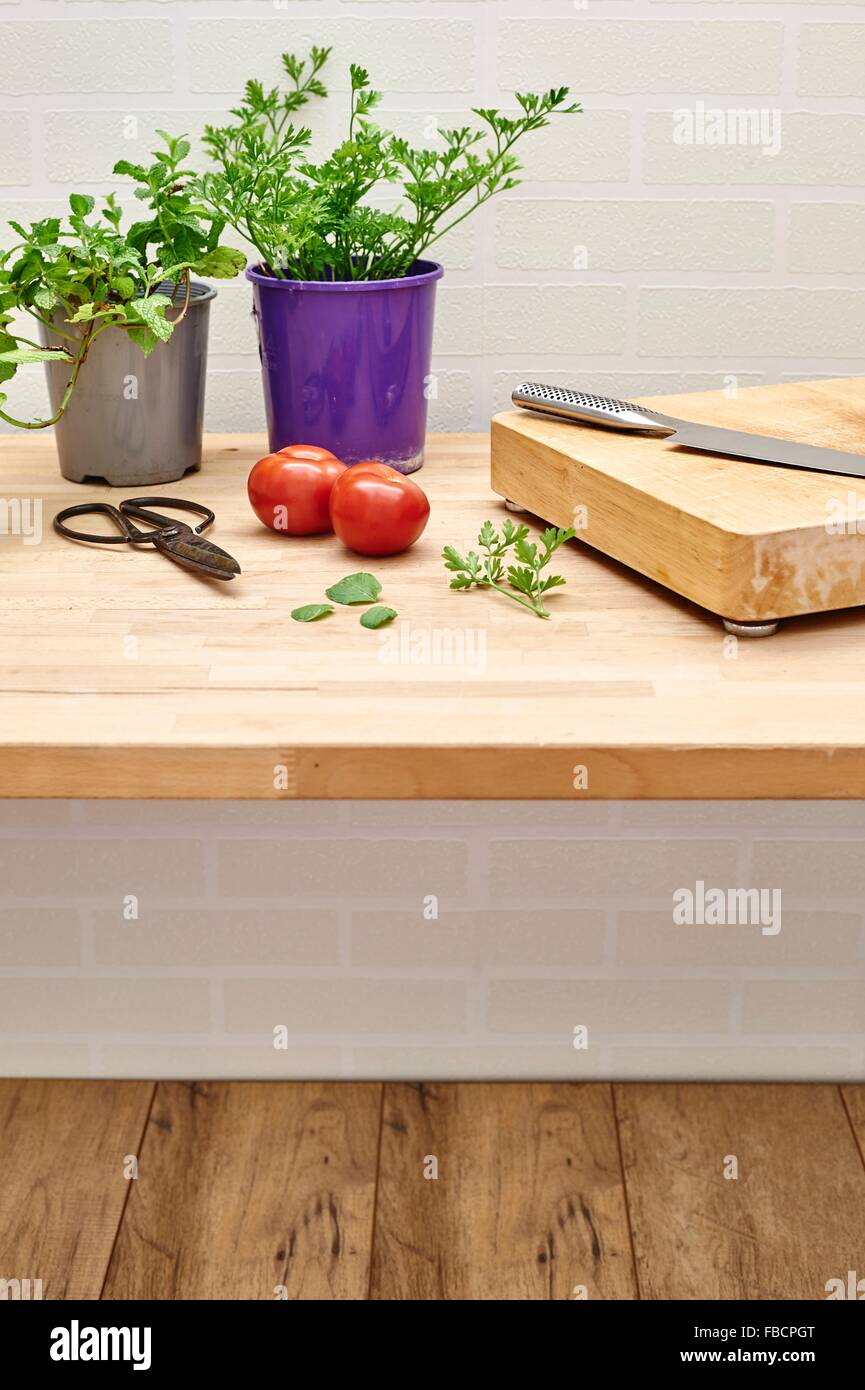 A studio photo of various potted garden herbs on a kitchen bench Stock