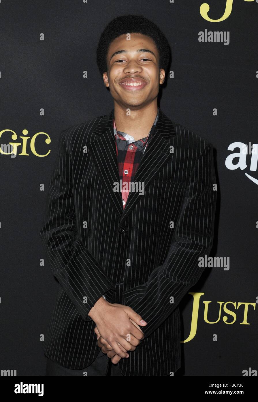 Los Angeles, CA, USA. 14th Jan, 2016. Judah Bellamy at arrivals for