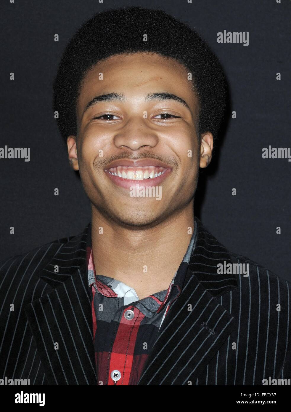 Los Angeles, CA, USA. 14th Jan, 2016. Judah Bellamy at arrivals for