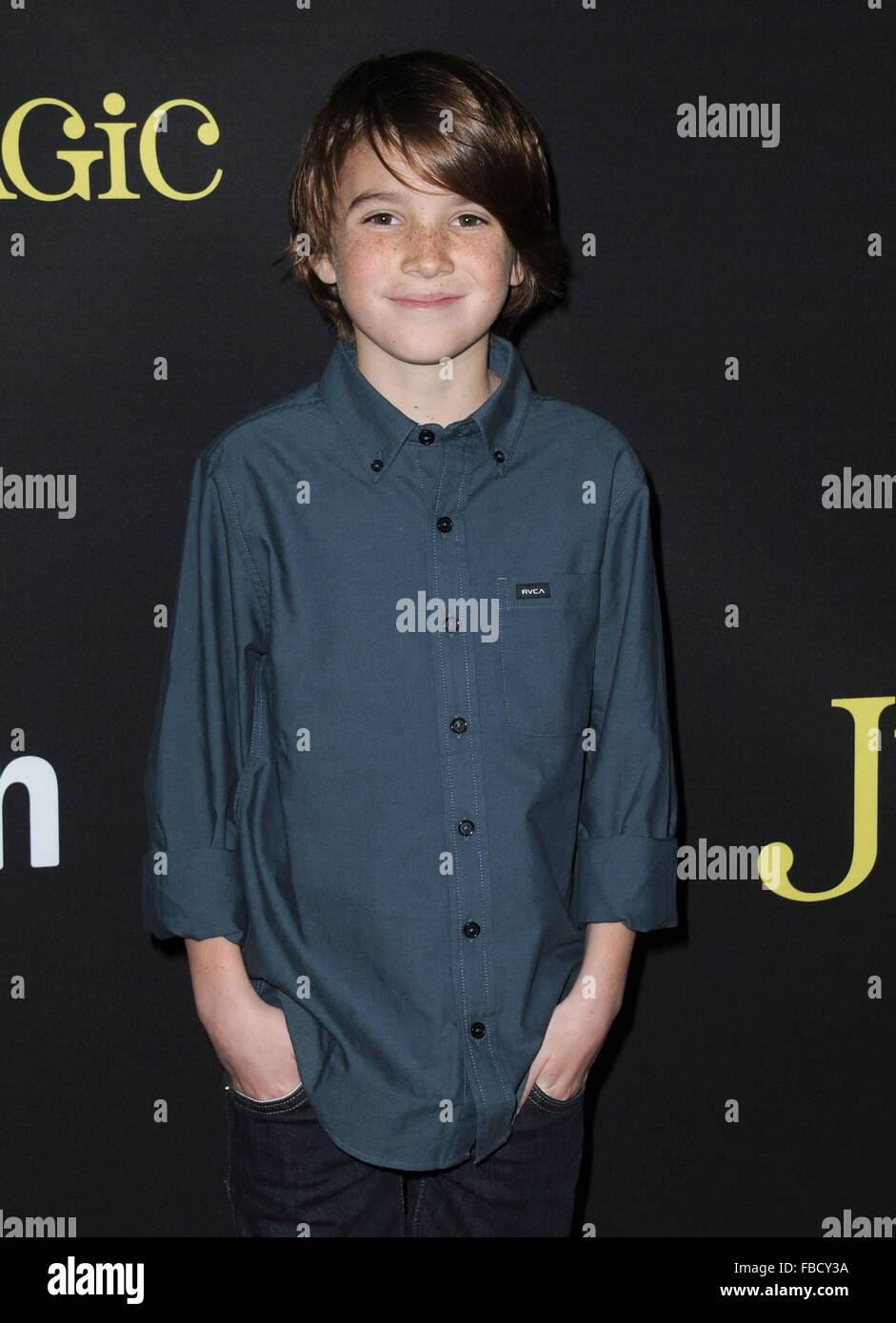 Los Angeles, CA, USA. 14th Jan, 2016. Aiden Lovekamp at arrivals for