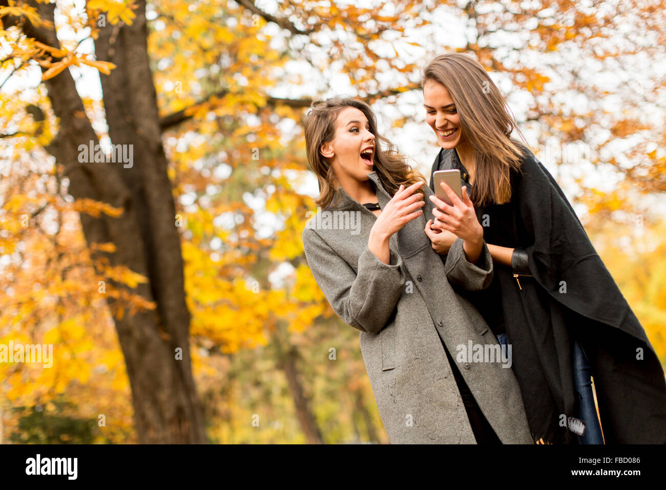 Pretty young women in the autumn park Stock Photo - Alamy