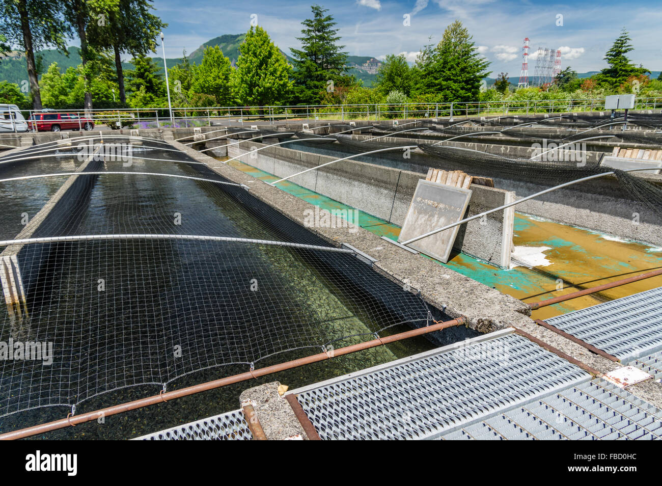 Fish hatchery pond hires stock photography and images Alamy