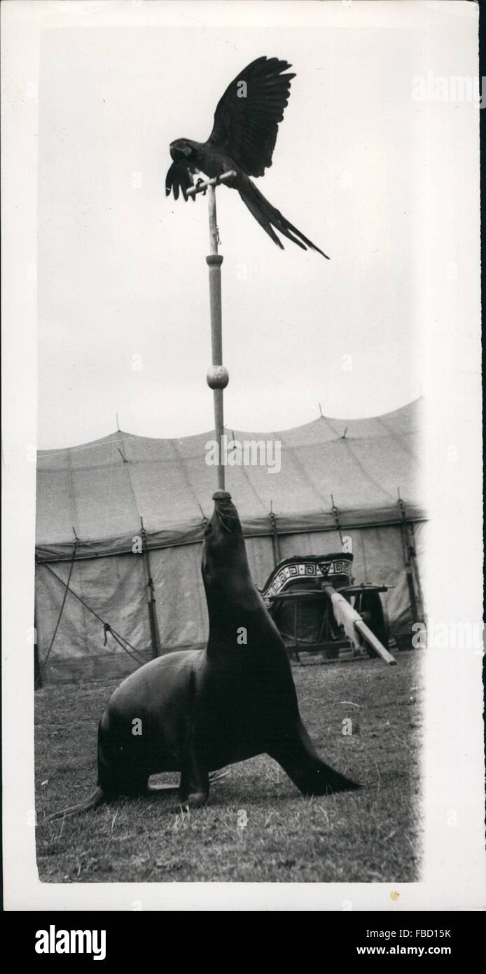 1955 - ''Mackenzie'' goes right up the Pole. New stunt by ''Charlie ...