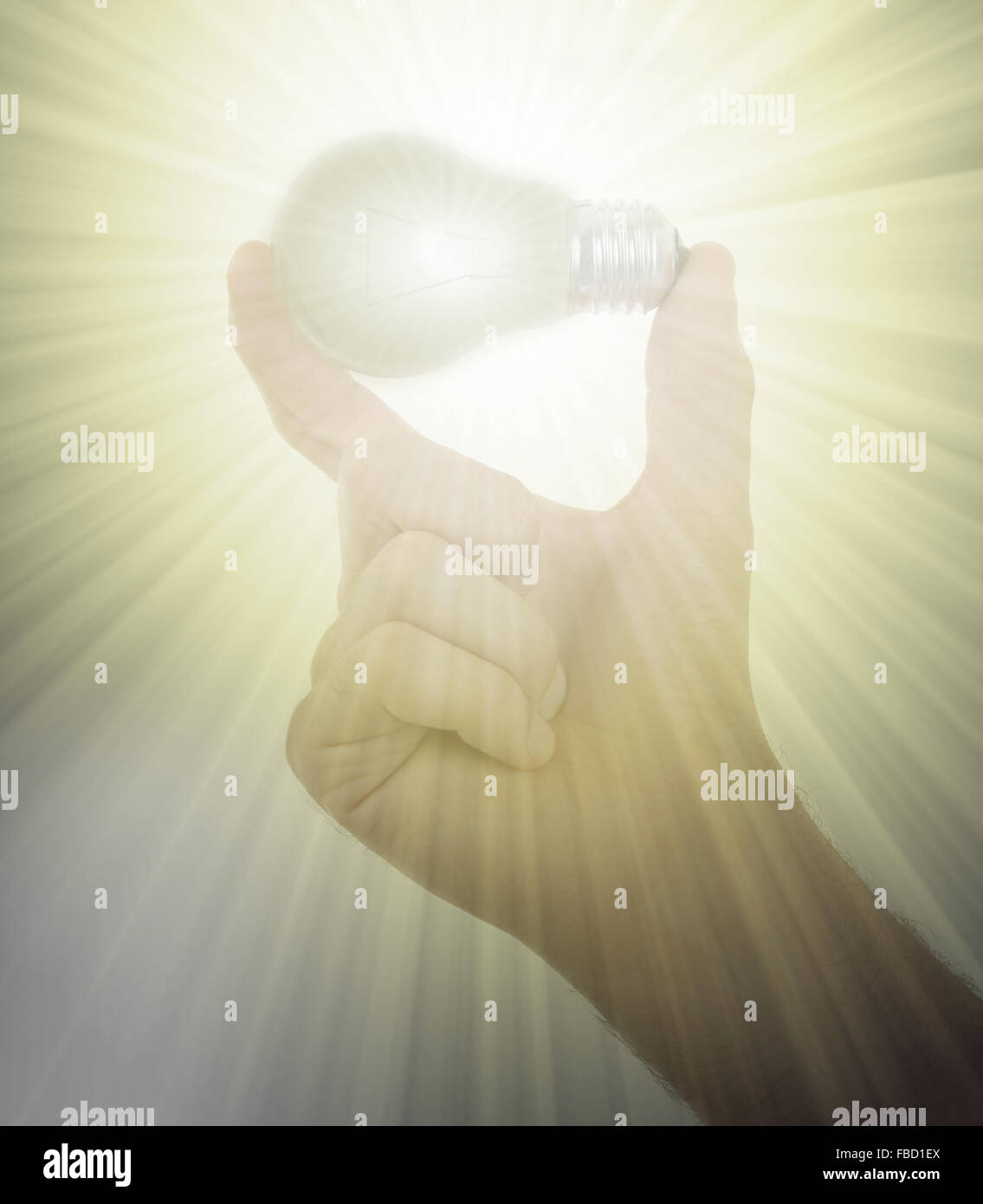 Hand holding an light bulb isolated on white background Stock Photo - Alamy