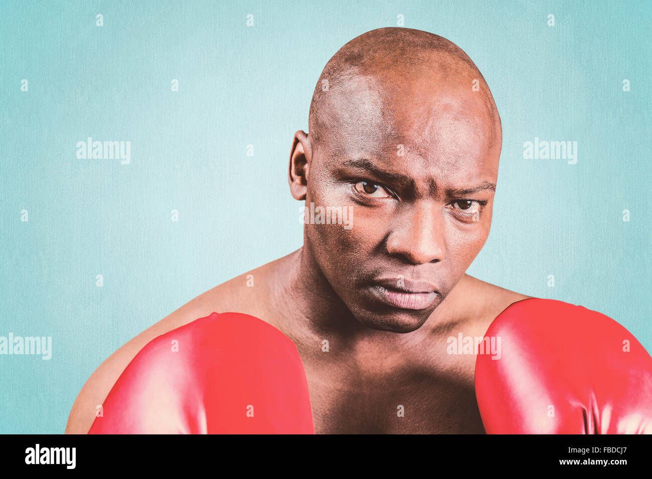 Composite image of portrait of bald boxer in gloves Stock Photo
