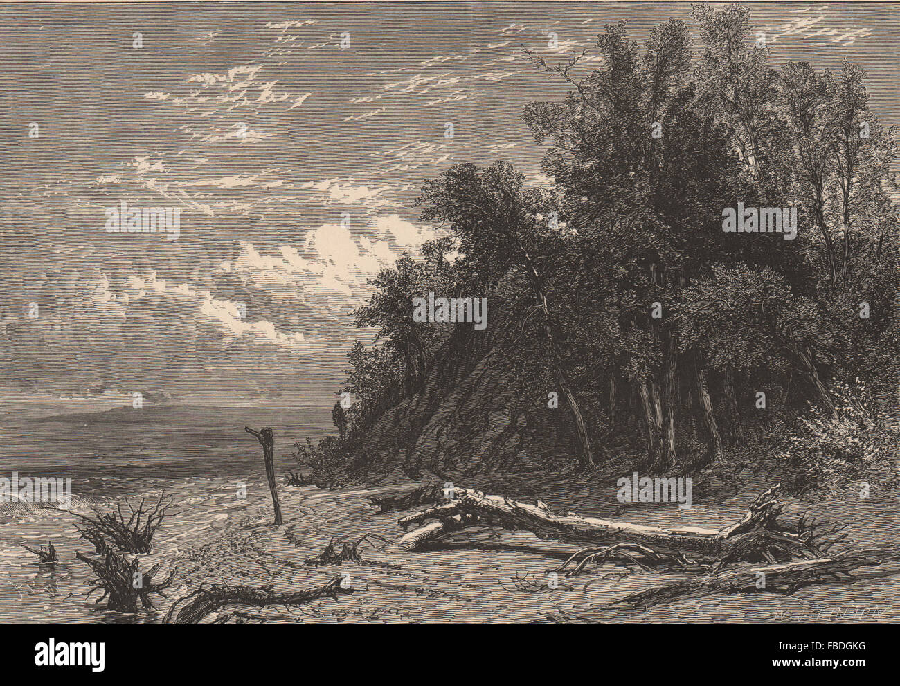 ILLINOIS: The Shore at Lake Forest, antique print 1874 Stock Photo