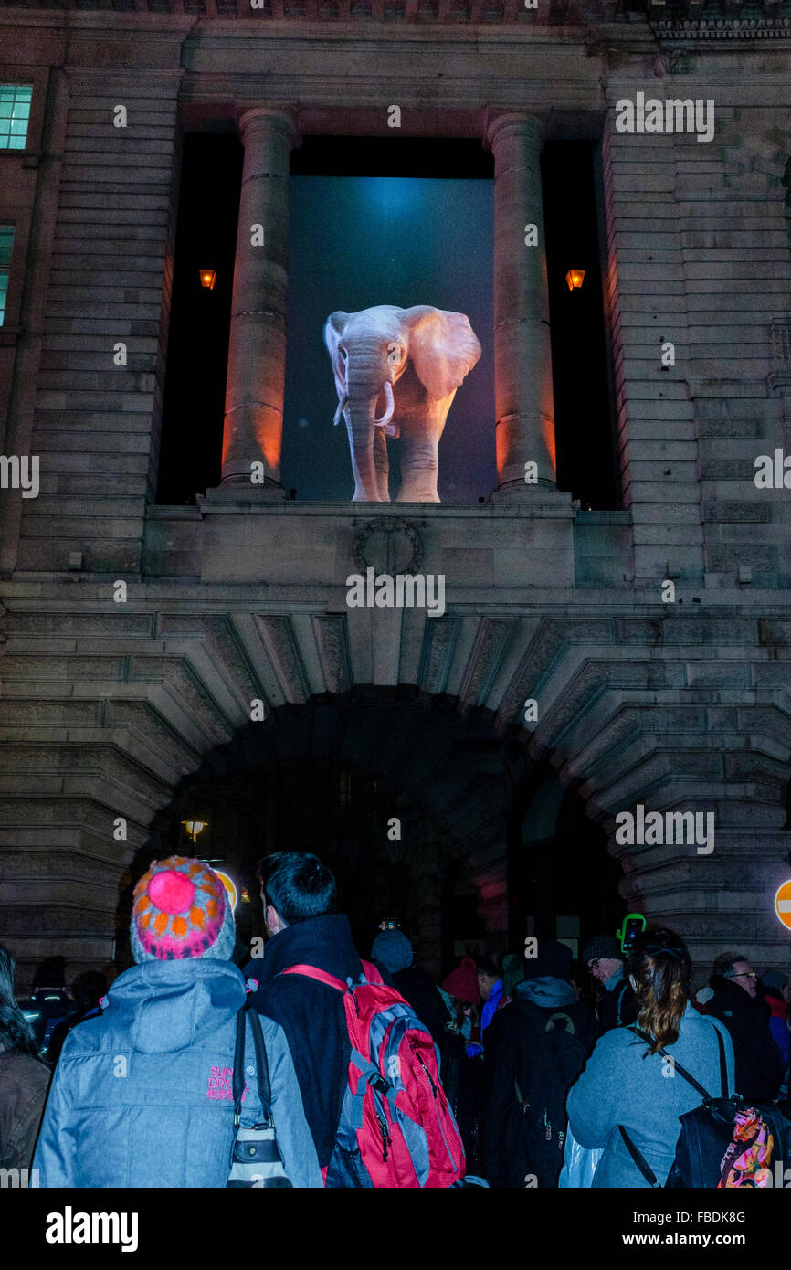 Elephantastic, by Top'lá Design/Catherine Garret on display during Lumiere London, a new light festival in central London. The festival, displaying more than thirty installations by renowned international artists ran between 14-17 January 2016. Stock Photo