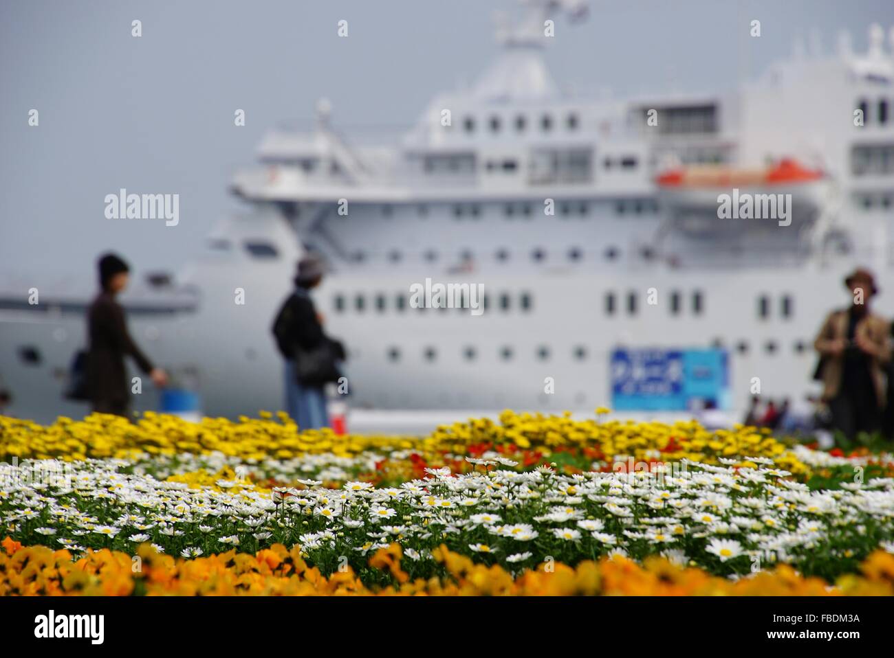 Flower Beds With Cruise Ship In Background Stock Photo