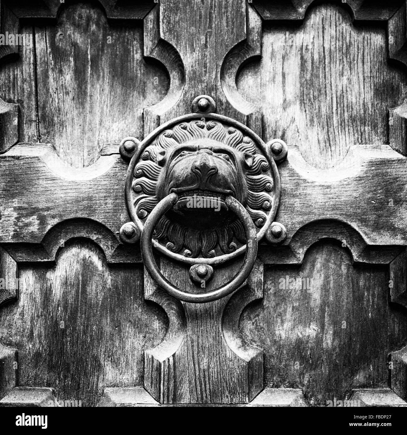Antique door knocker shaped like lion's head. Stock Photo