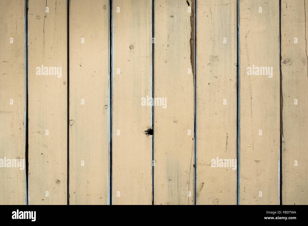 Close-Up Of Wooden Planks Stock Photo