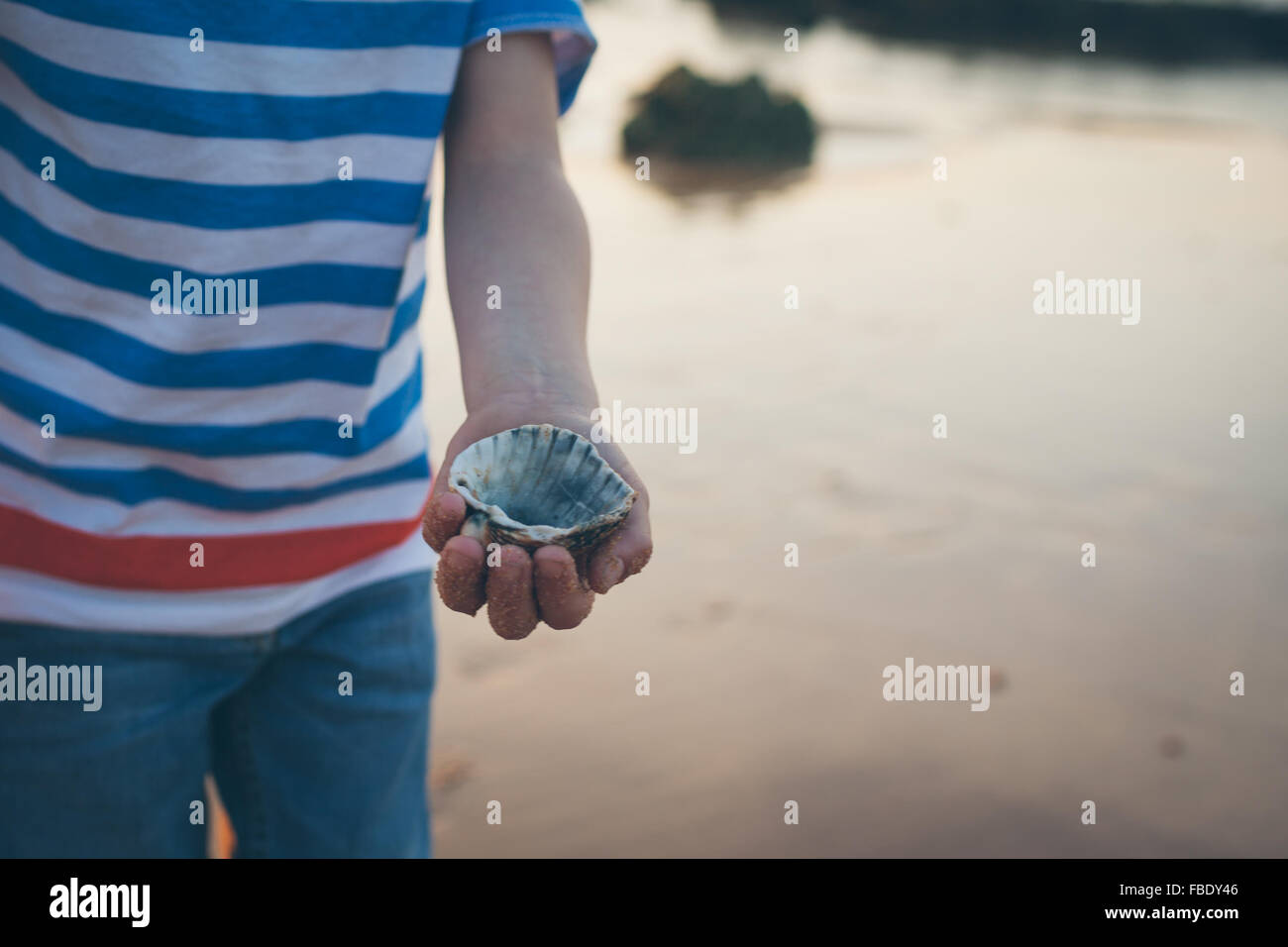 Mid Section View Of Boy Showing Seashell Stock Photo