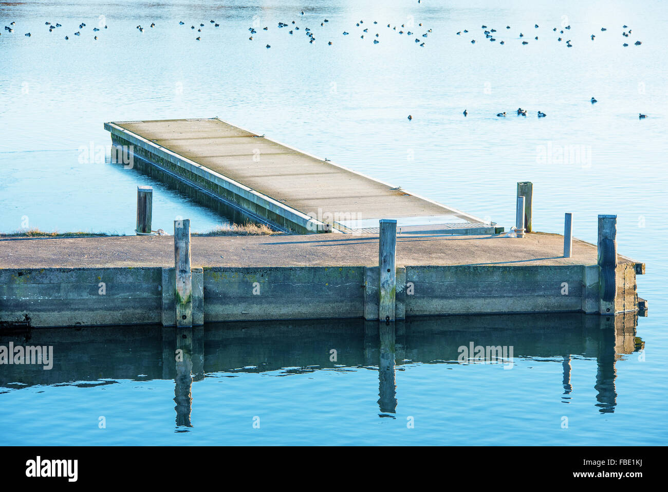A concrete jetty with a floating jetty attached to it. Some seabirds