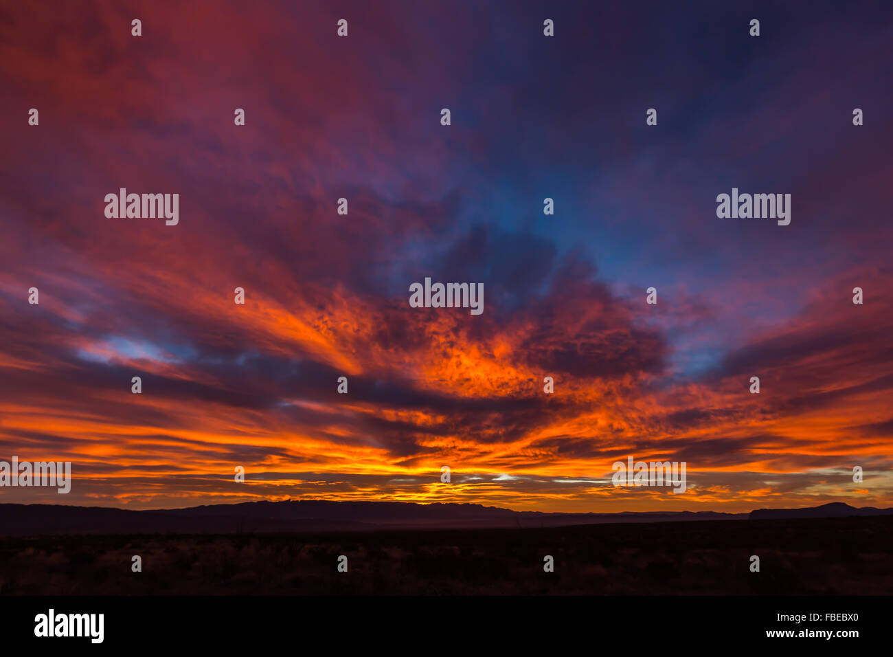 A spectacular sunrise seen along Glenn Springs Road in the desert of Big Bend National Park, Texas, USA Stock Photo
