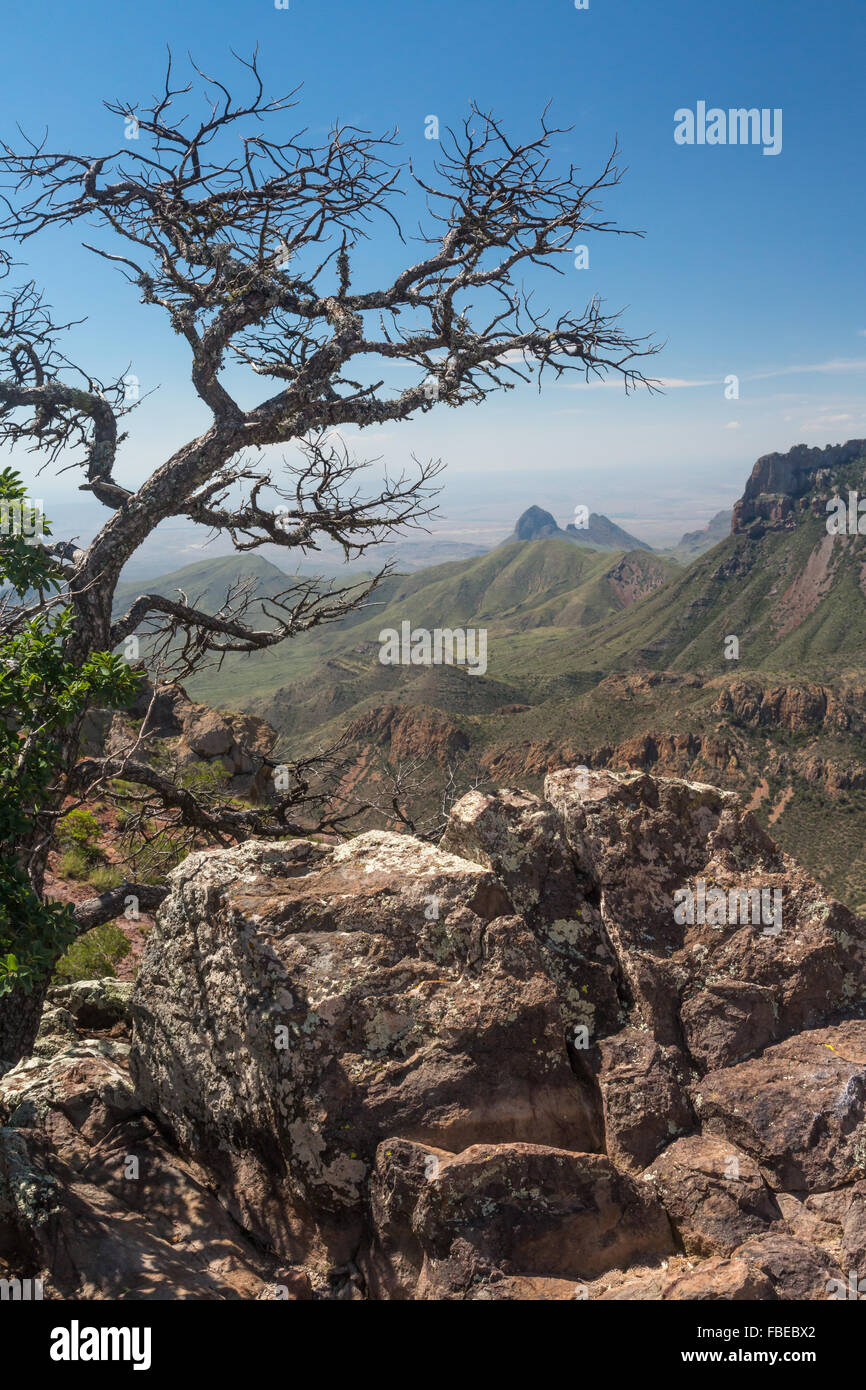 The beautiful view from the Lost Mine Trail in Big Bend National Park, USA Stock Photo