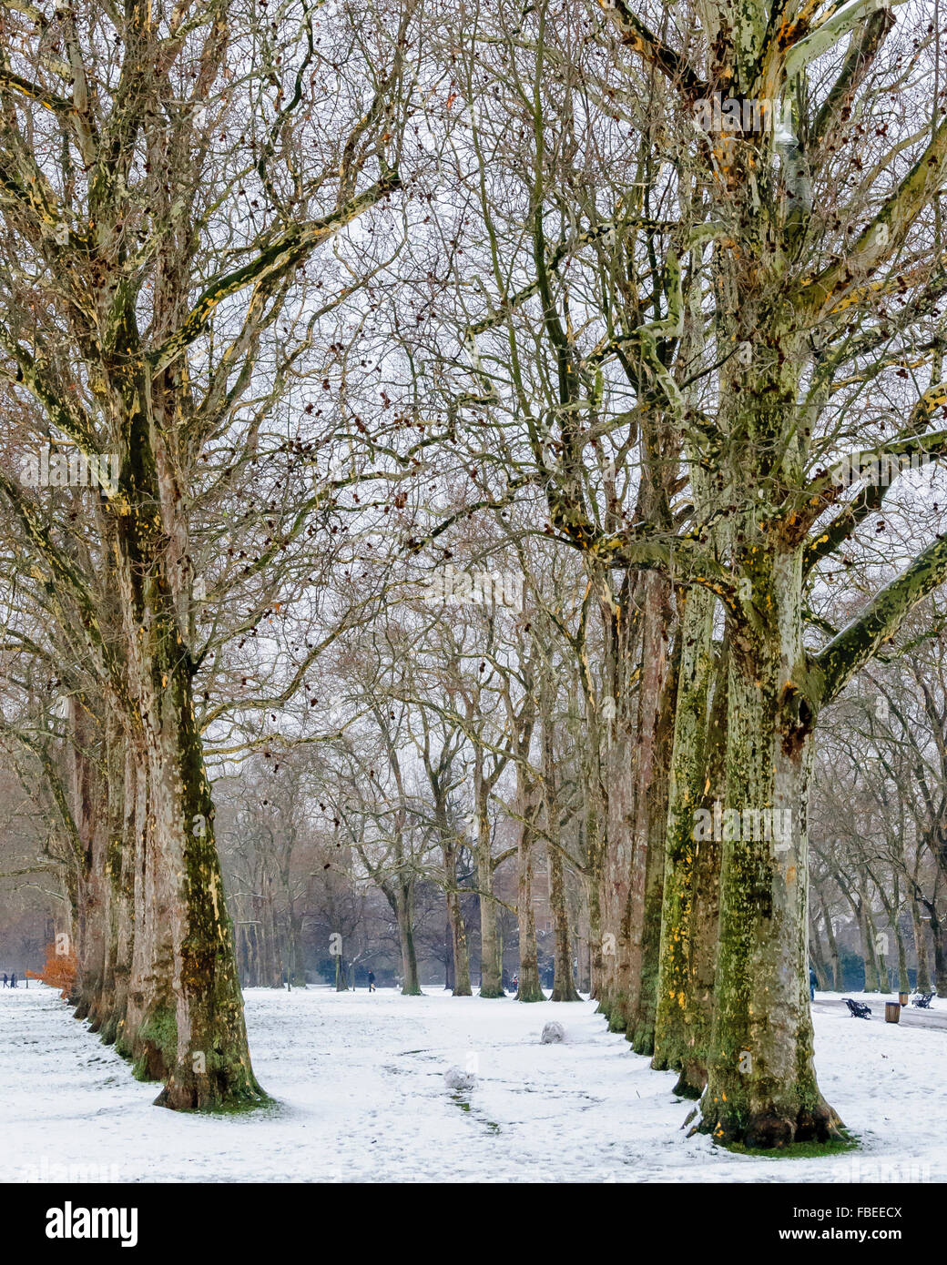 Lancaster Walk in winter Stock Photo