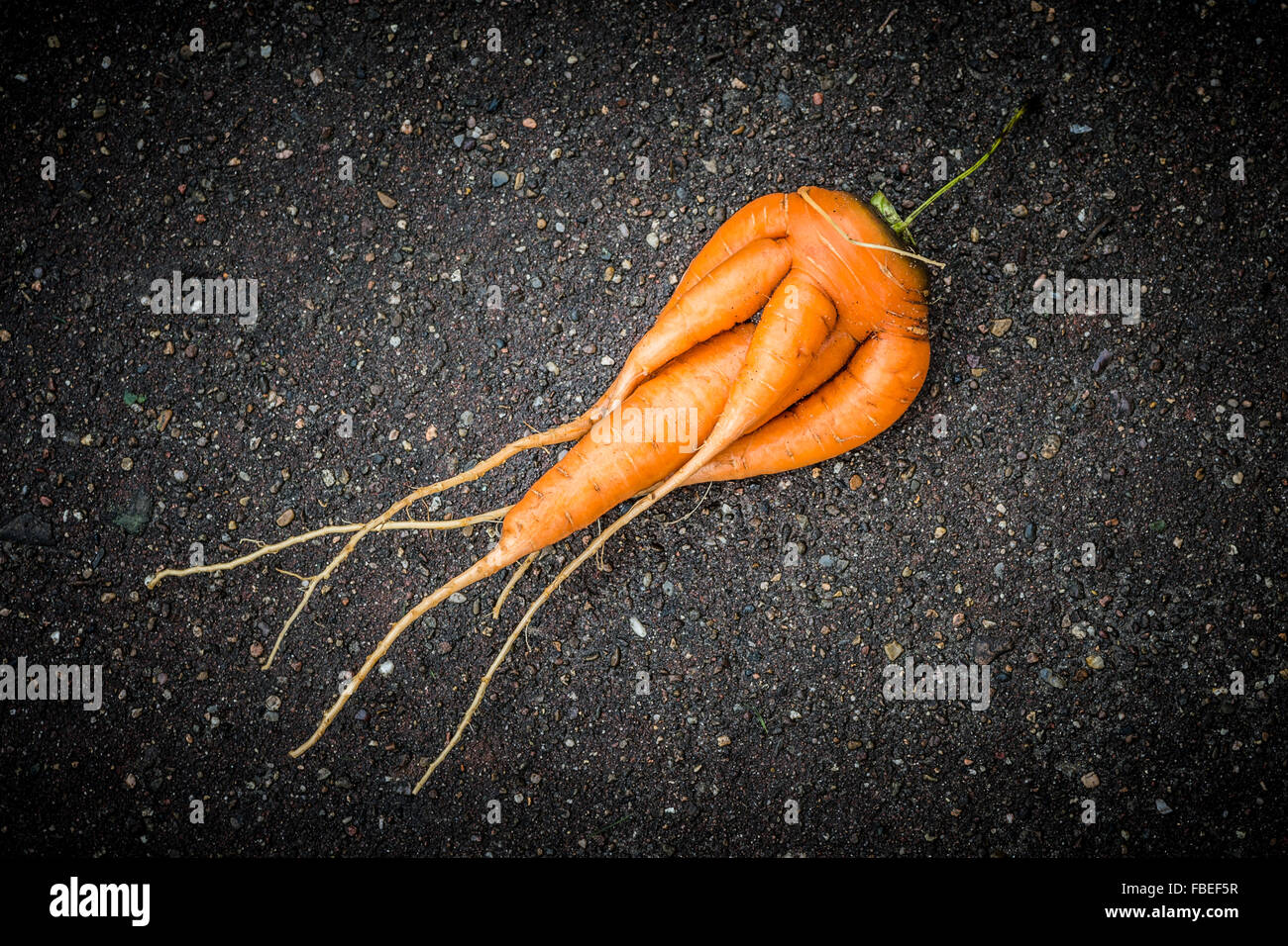 Imperfect Fresh Carrot Stock Photo