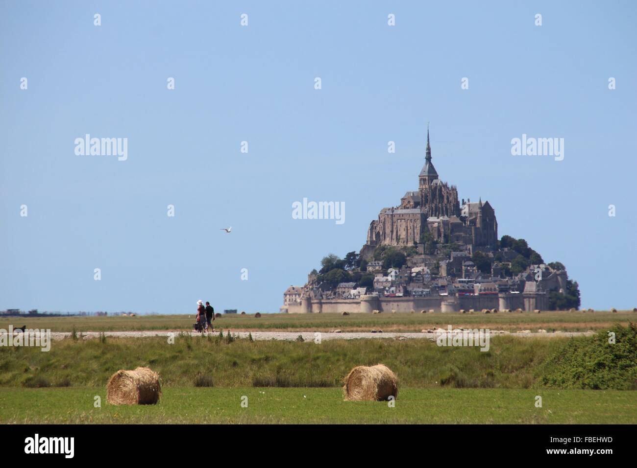 Scenic View Of Grassy Field And Le Mont-Saint-Michel Against Clear Sky Stock Photo