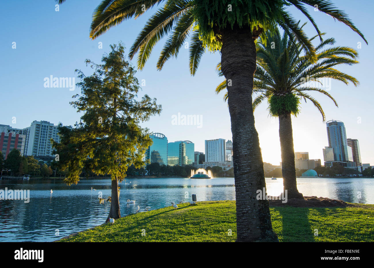Orlando Florida Lake Eola Take skyline and fountain at  twilight with water and palms Stock Photo