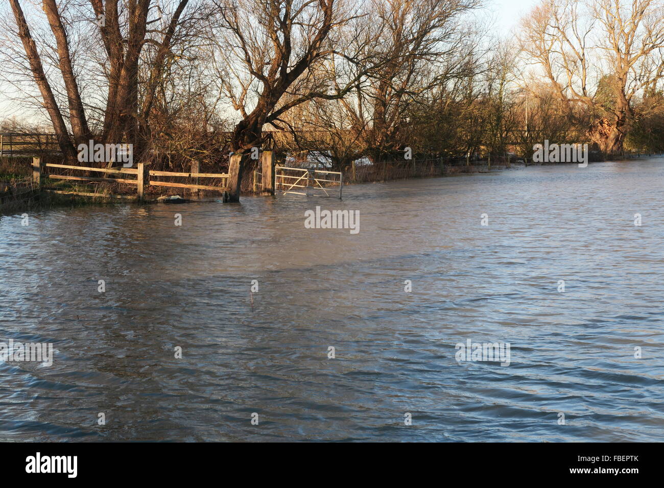 Flooded fields and road at Sutton Gault in Cambridgeshire Stock Photo ...