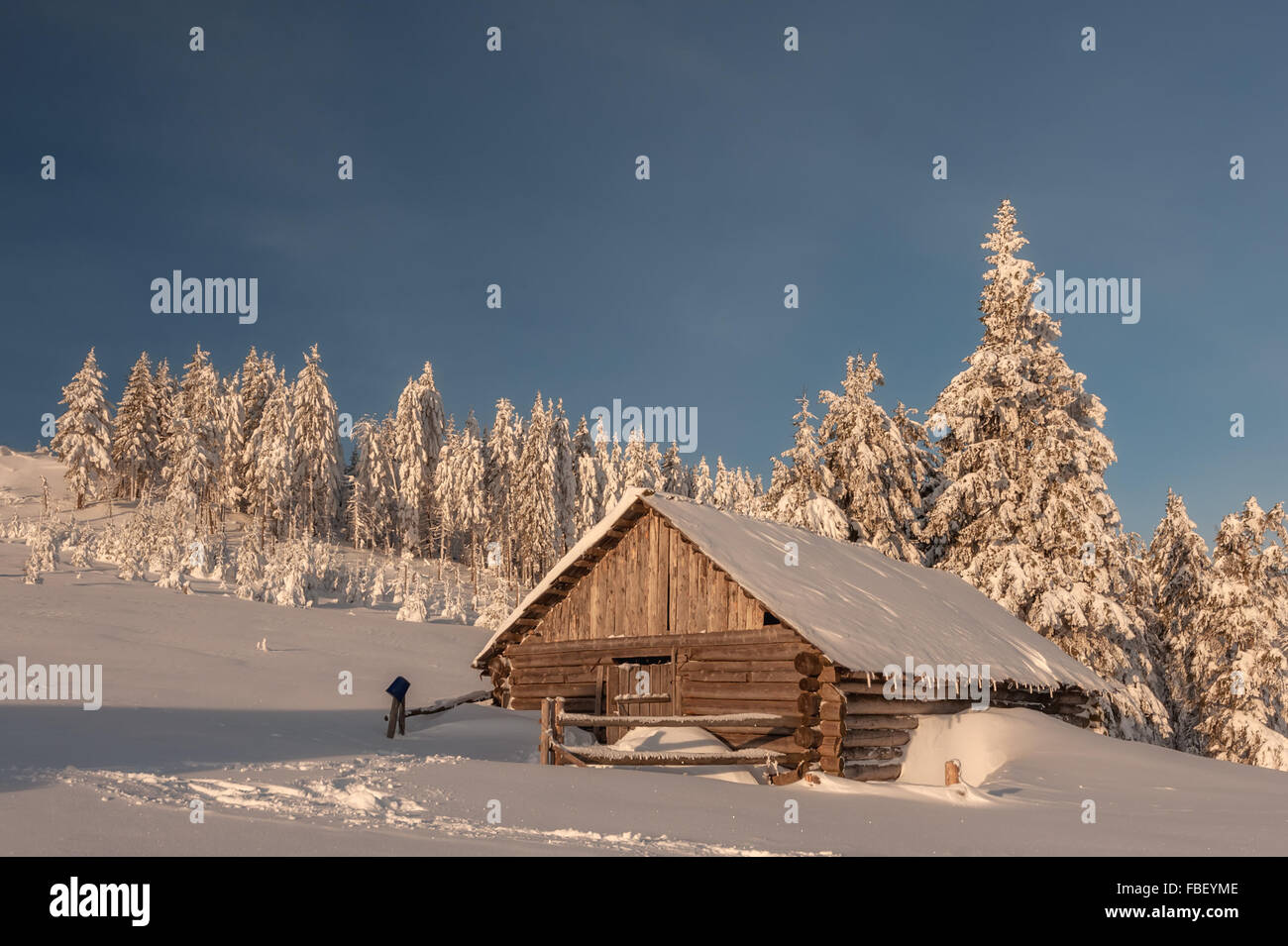 wooden house in winter forest Stock Photo - Alamy