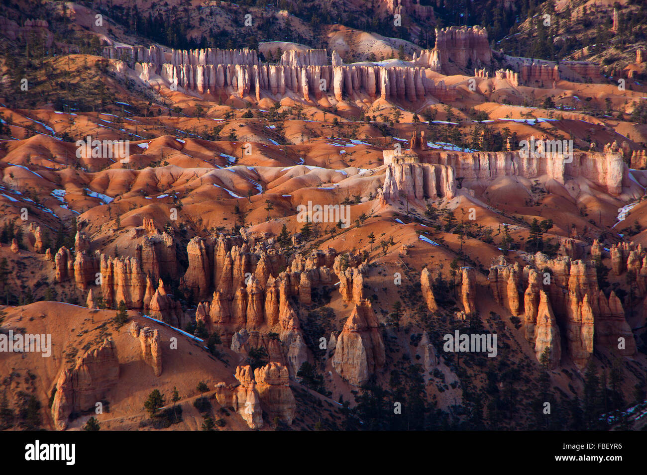 Hoodoos, Bryce Canyon Stock Photo