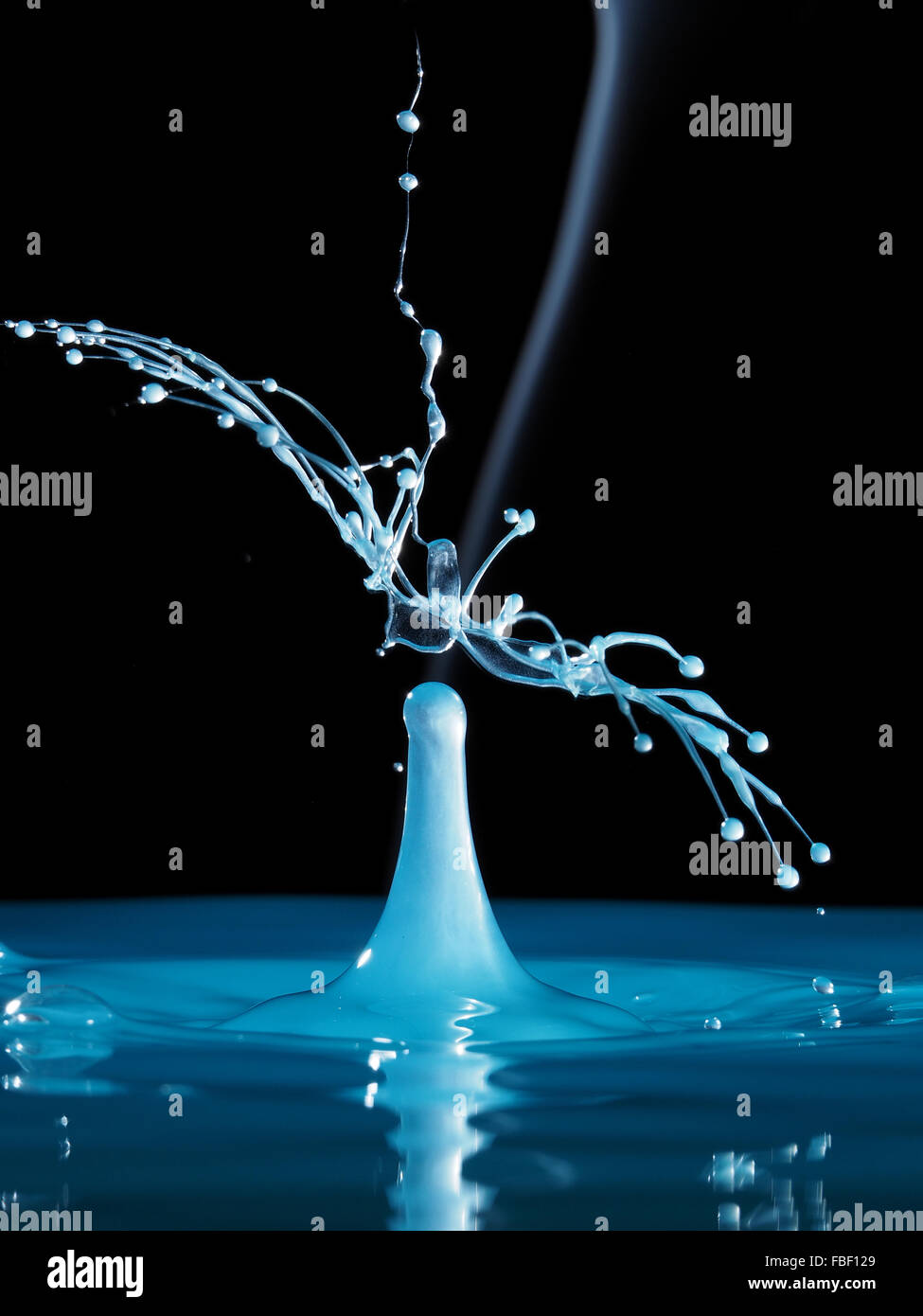 Water splash black background hi-res stock photography and images - Alamy