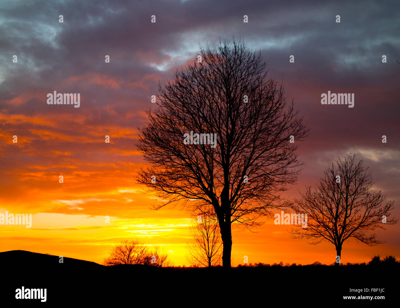 Warwick, Warwickshire, UK. 15th January 2016. UK Weather: A dramatic sunset seen across Warwick racecourse where matting has been laid around the whole course to protect it from overnight frost in preparation for Saturday`s National Hunt race meeting. Credit:  Colin Underhill/Alamy Live News Stock Photo