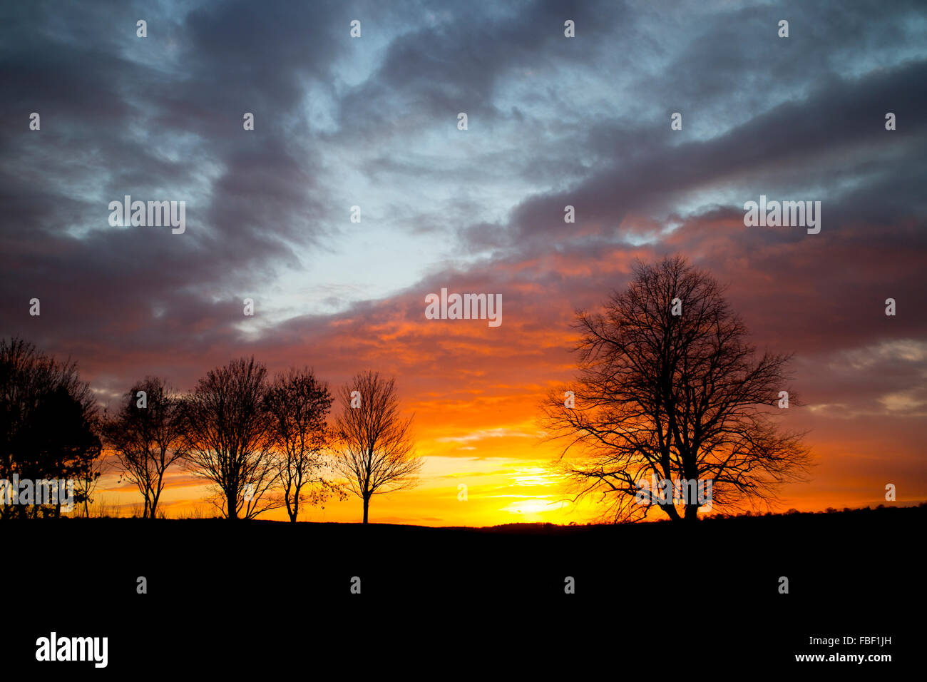 Warwick, Warwickshire, UK. 15th January 2016. UK Weather: A dramatic sunset seen across Warwick racecourse where matting has been laid around the whole course to protect it from overnight frost in preparation for Saturday`s National Hunt race meeting. Credit:  Colin Underhill/Alamy Live News Stock Photo