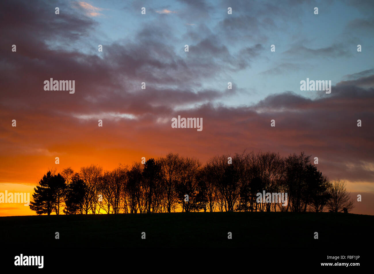 2016 uk weather hires stock photography and images Alamy