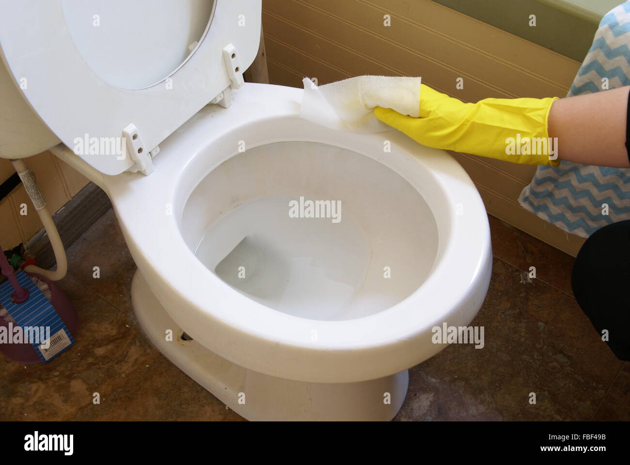 Cleaning the bathroom toilet Stock Photo