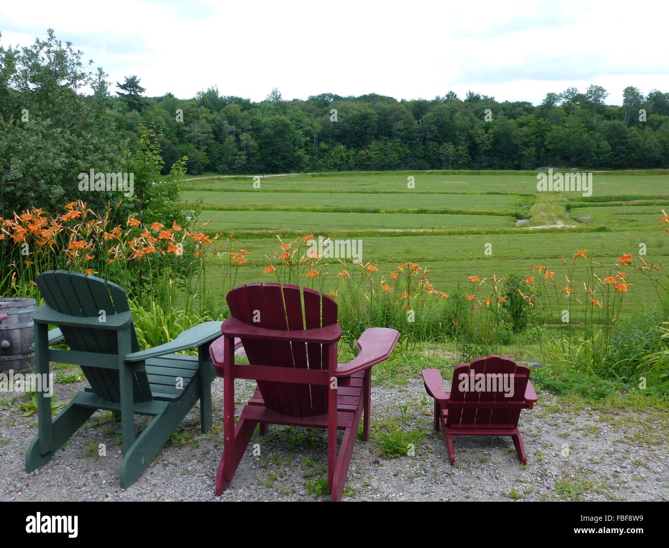 three deck chair look out over a cranberry field in Bala, Canada Stock Photo