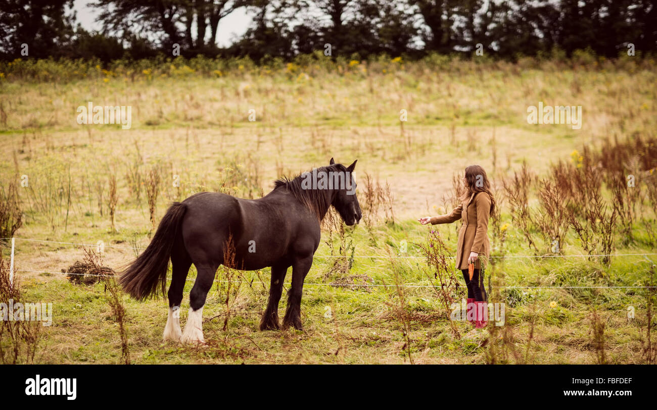 Woman feeding a horse Stock Photo Alamy